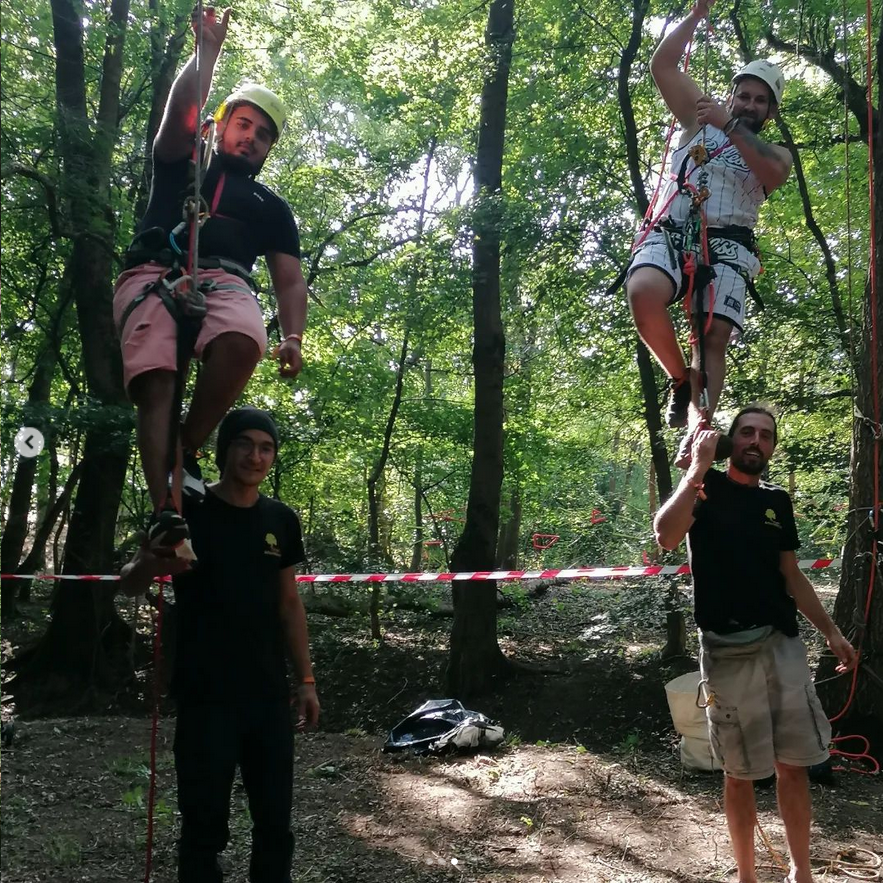 Urban Arboristica Participare la CODRU Festival - Pădurea Bistra, Judetul Cluj
