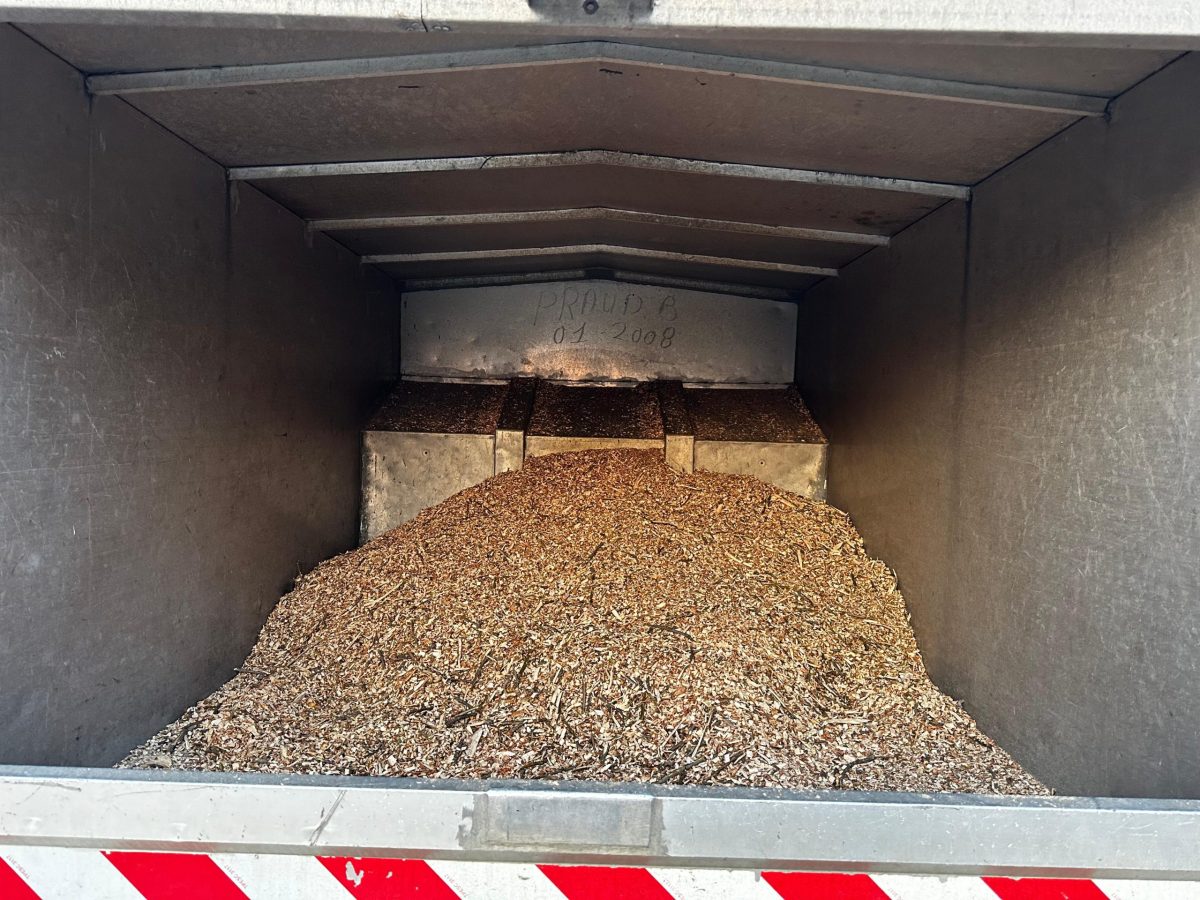 Transport Tocatura Crengi Toaletare Timisoara prin Arboristica.ro