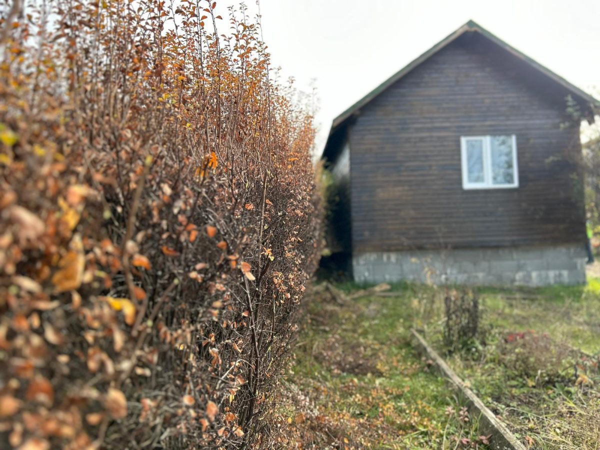 Acțiune de Toaletare Arbori și Arbuști - Waldorf Zorilor, Cluj-Napoca - Urban Arboristica