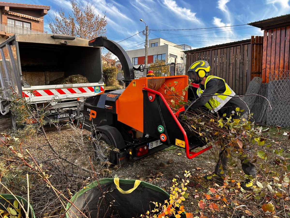 Toaletare Arbori și Arbuști - Waldorf Zorilor, Cluj-Napoca