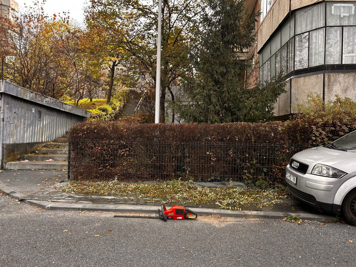 Tundere Intretinere Spatii Vii in Cluj Napoca - Urban Arboristica
