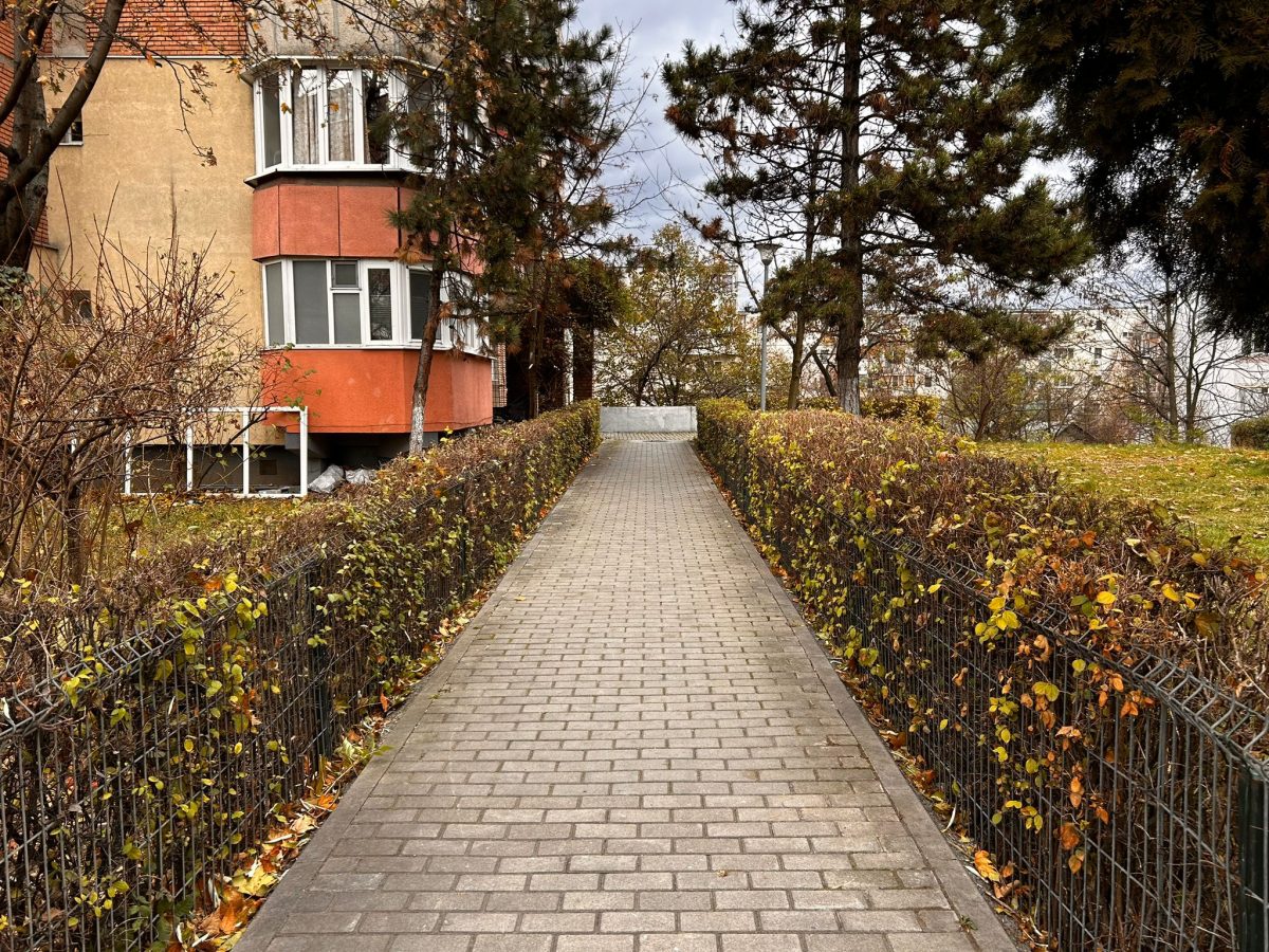 Tundere Intretinere Spatii Vii in Cluj Napoca - Urban Arboristica