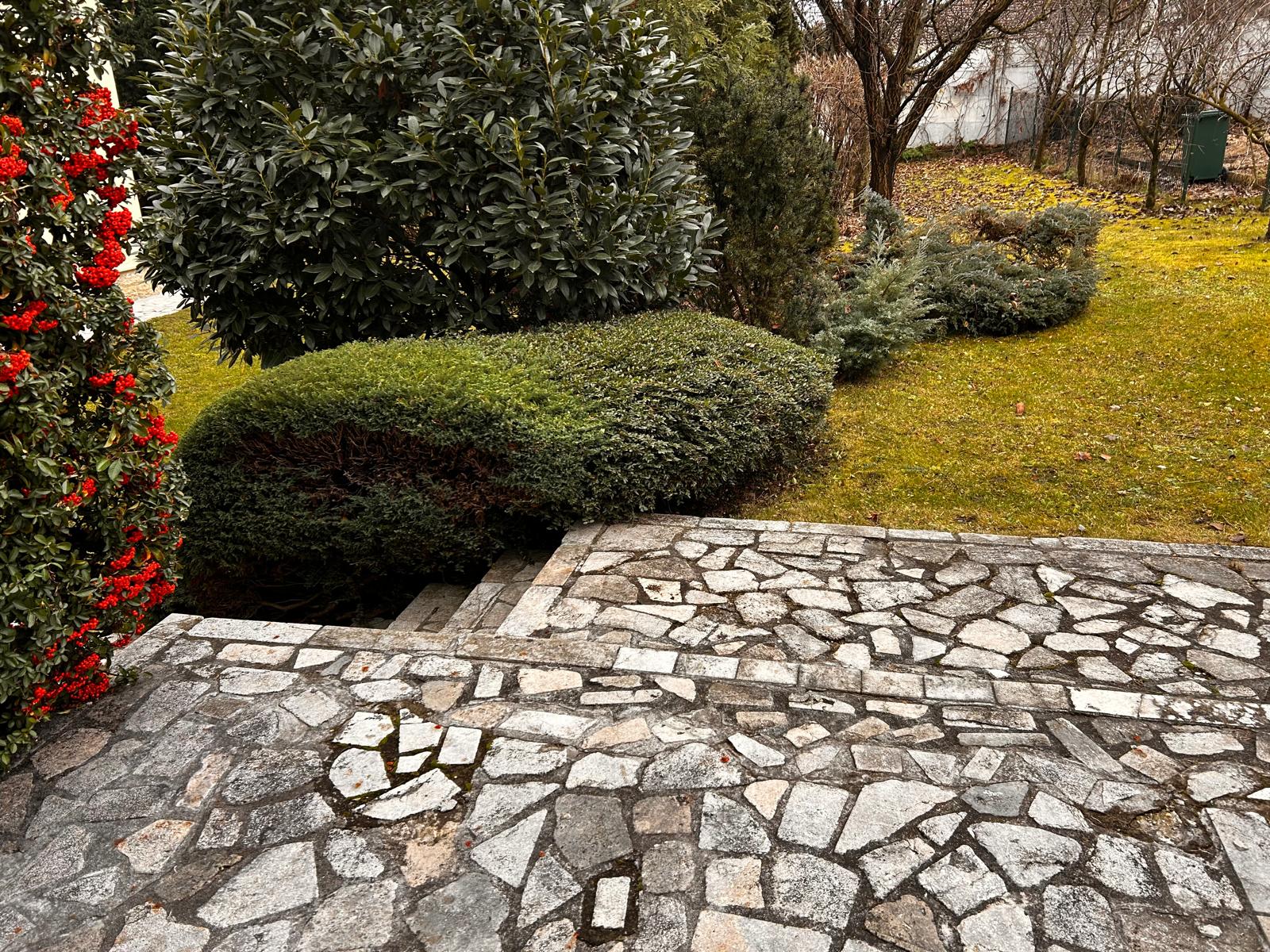 Urban Arboristica - Întreținere Spațiu Verde – Cluj-Napoca, Ion Agarbiceanu - Arboristica.ro