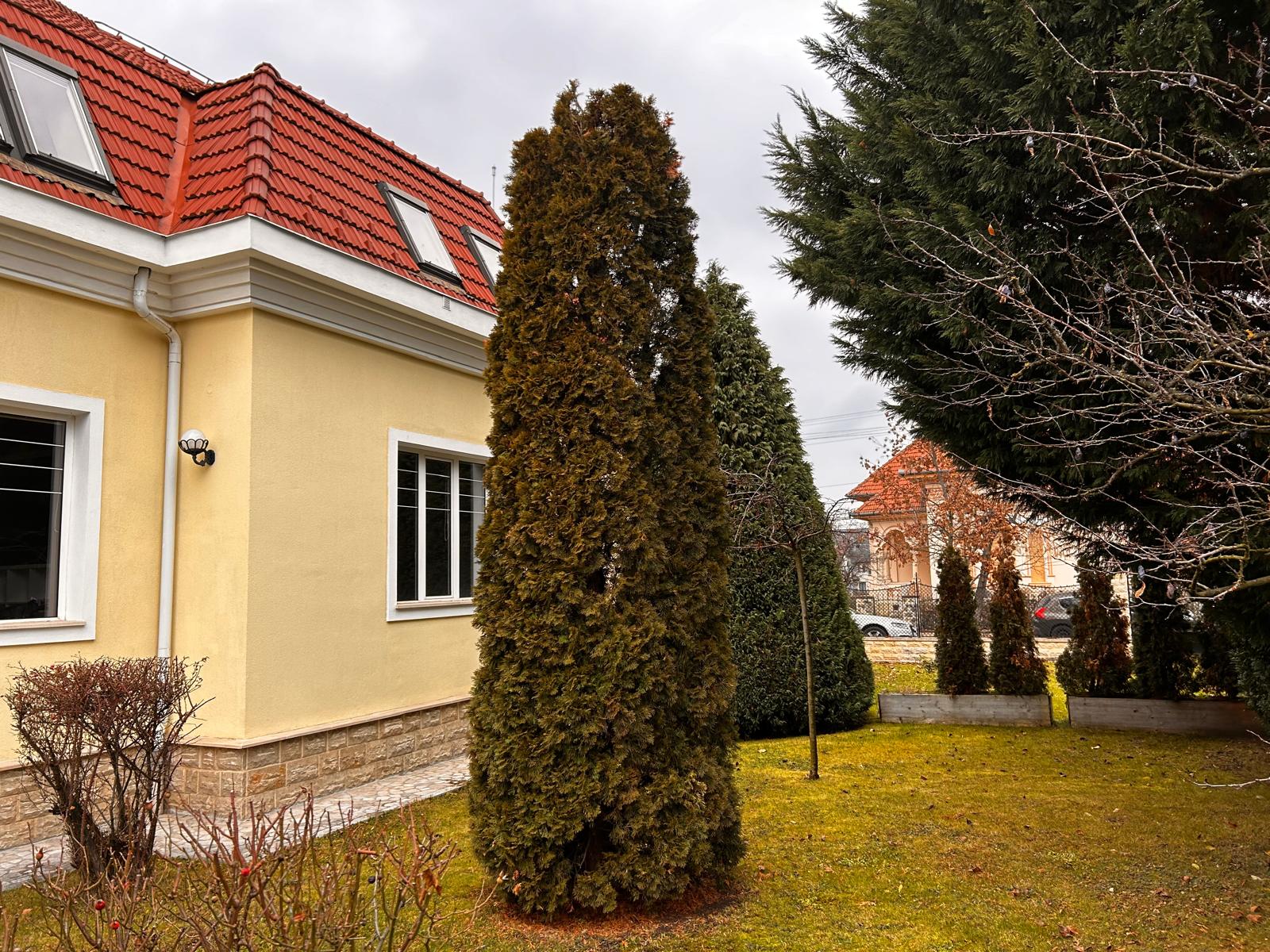 Urban Arboristica - Întreținere Spațiu Verde – Cluj-Napoca, Ion Agarbiceanu - Arboristica.ro