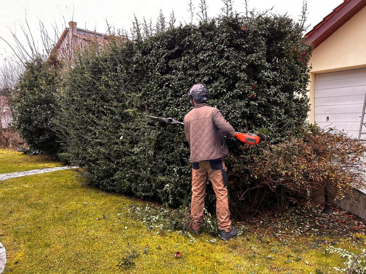 Urban Arboristica - Întreținere Spațiu Verde – Cluj-Napoca, Ion Agarbiceanu