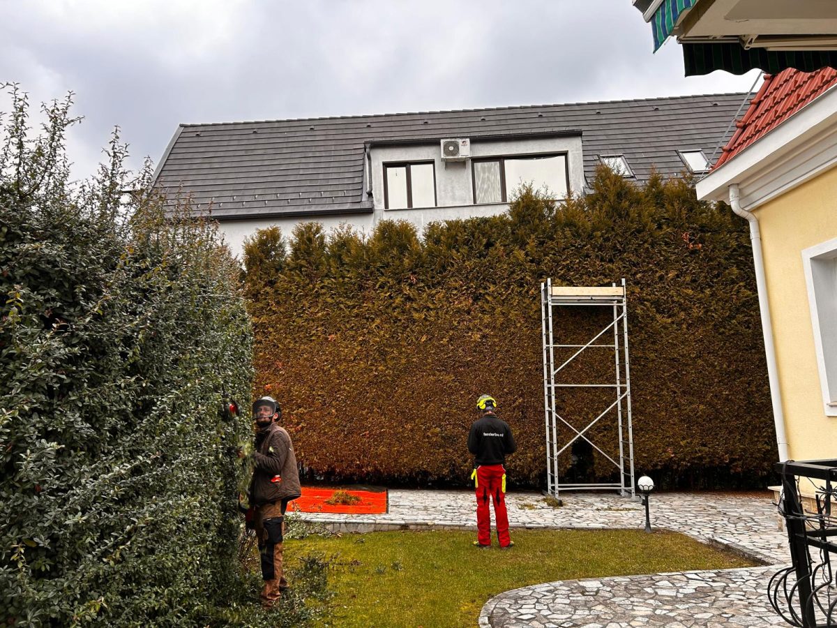 Urban Arboristica - Întreținere Spațiu Verde – Cluj-Napoca, Ion Agarbiceanu