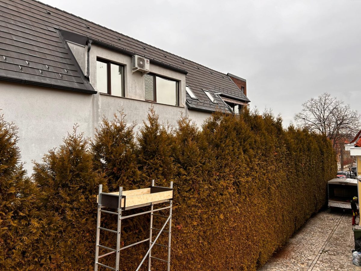 Urban Arboristica - Întreținere Spațiu Verde – Cluj-Napoca, Ion Agarbiceanu