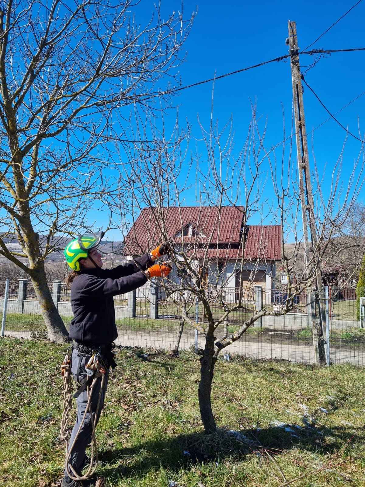 Lucrare Toaletare Livada Pomi Fructiferi – Cluj-Napoca