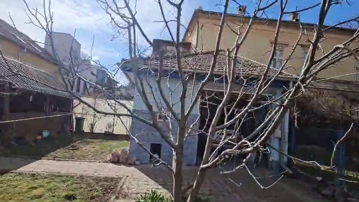 Servicii Toaletare Întreținere Grădină – Sibiu, Arboristica.ro