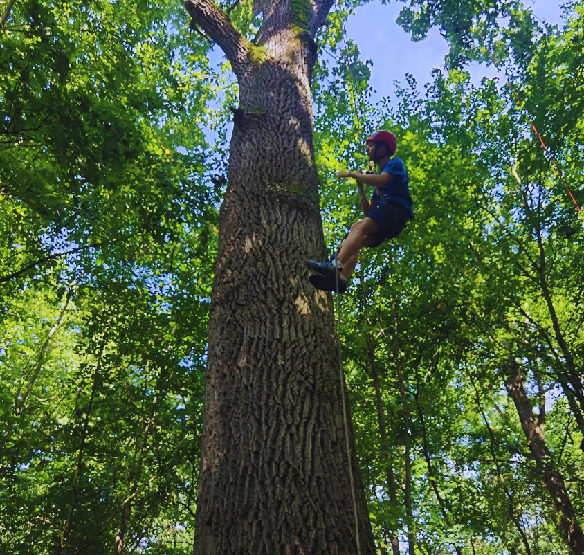 Urban Arboristica - Atelierul Climbing Giants Zaiafet pe Luna 2025