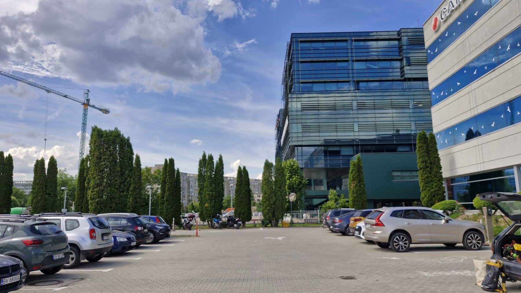 Urban Arboristica a fost contractată de Canam Brașov pentru a efectua o lucrare complexă de întreținere a unui gard viu format din 50 de arbori de Thuja Occidentalis Smaragd