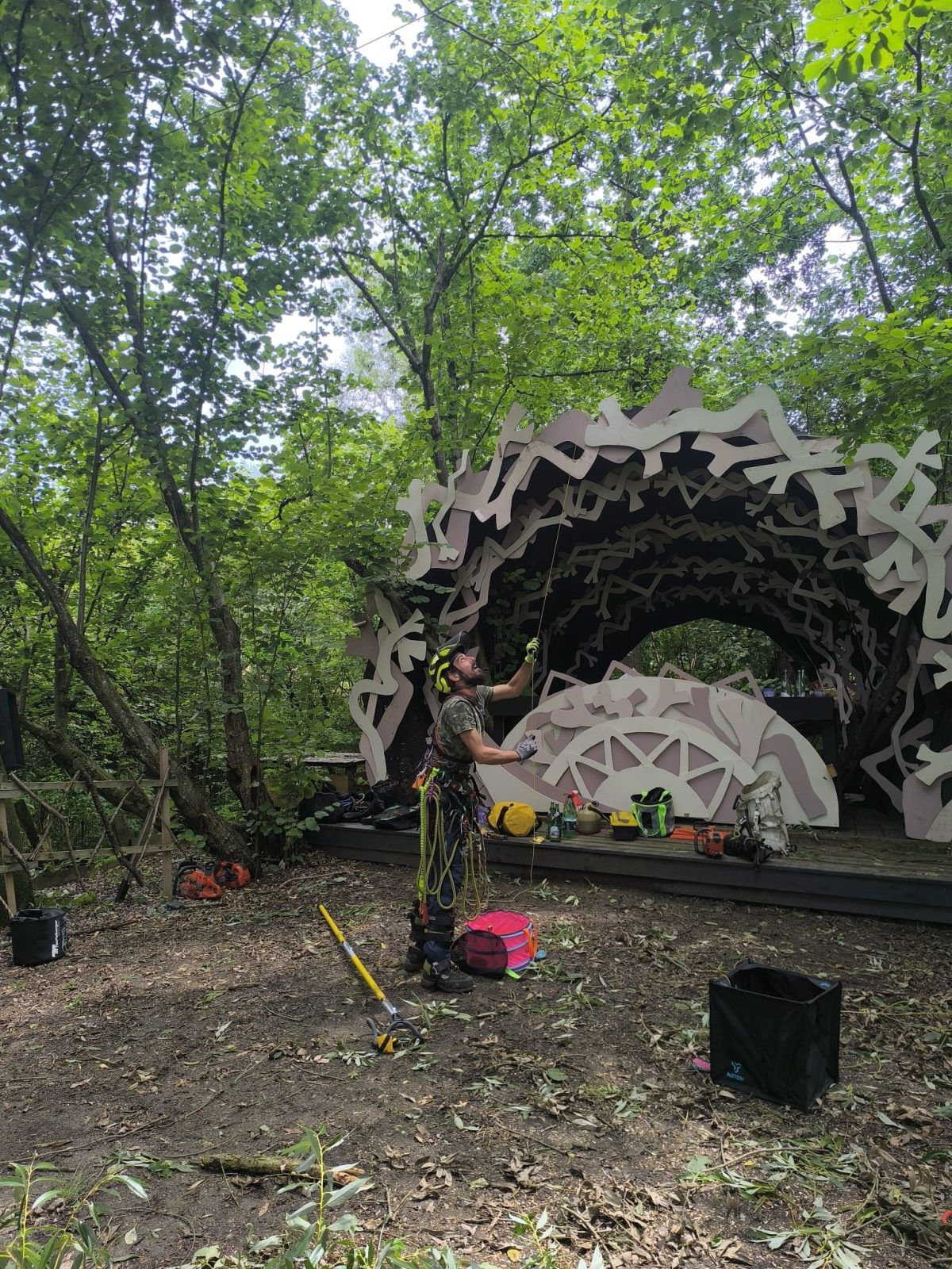 Audit Arbori Dupa Furtuna și Securizare Festival Mumush - Urban Arboristica