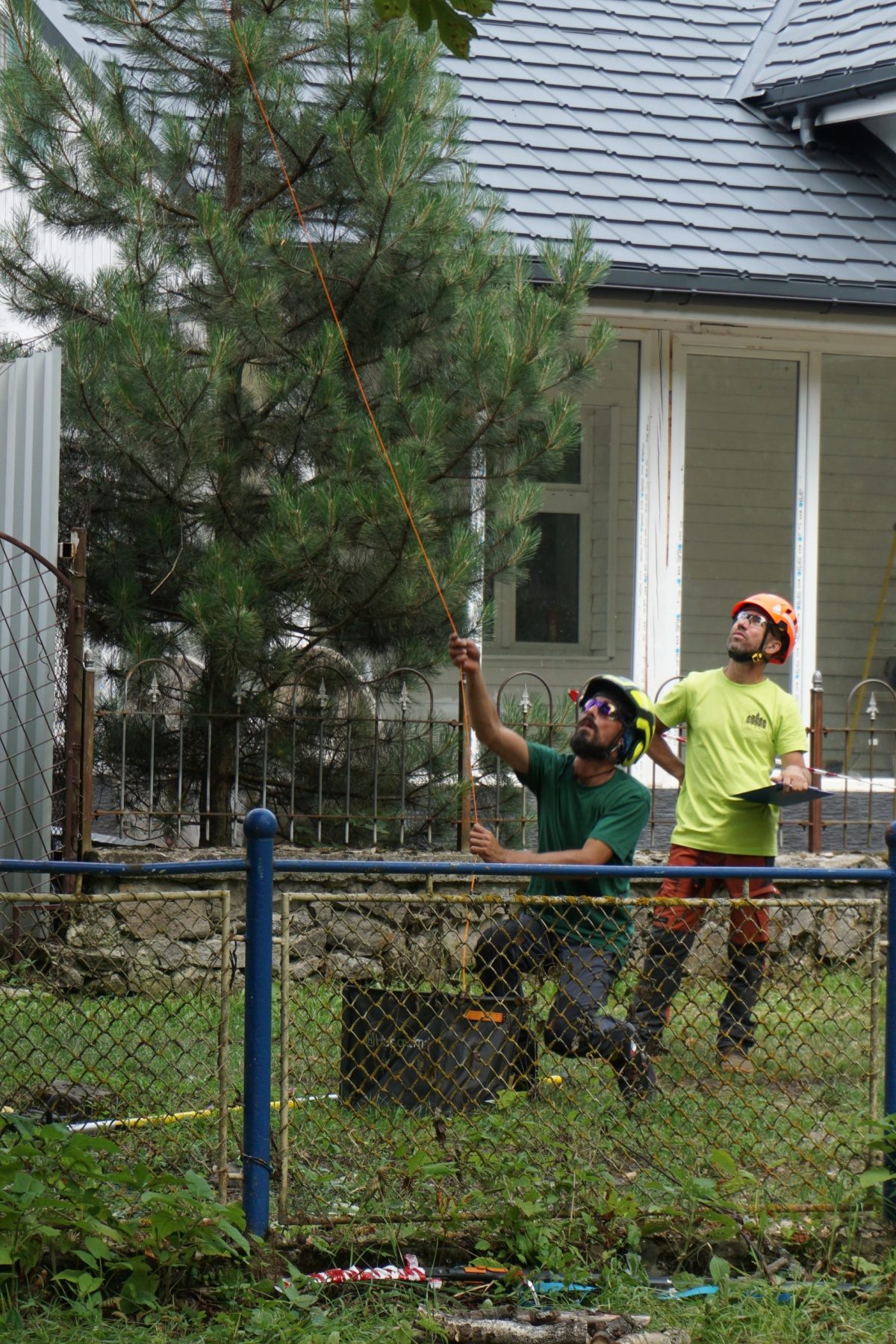 Competiția Națională de Cățărare în Arbori 2025 Simeria-Săcărămb